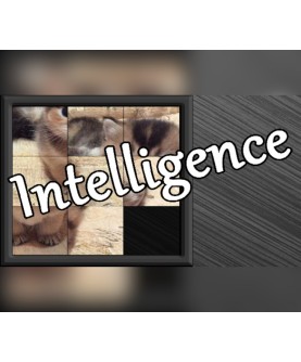 Intelligence Steam Key GLOBAL